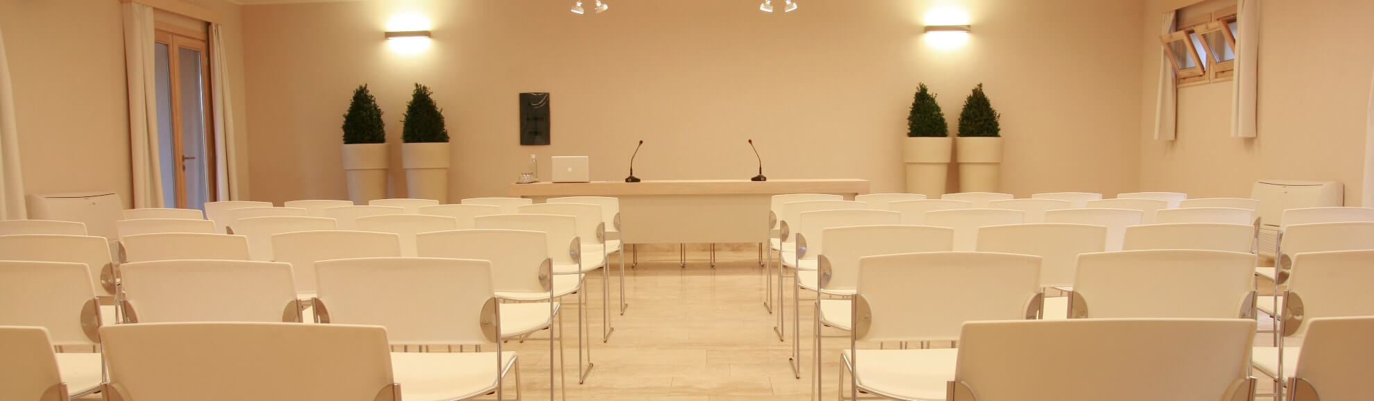 Sala Executive 10 Persone
